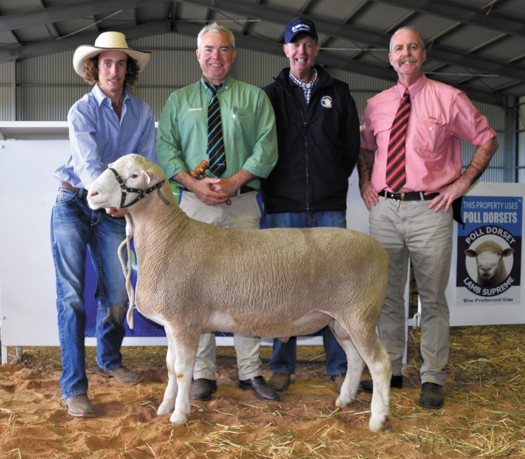 Ulandi Park 2018 Top Price Ram