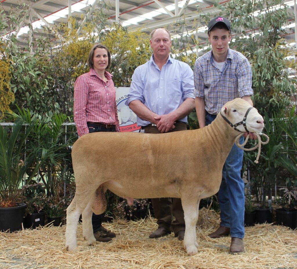 bendigo 2015 ram Australasian Dorset Championships 2015, Bendigo Ulandi Park 74-14