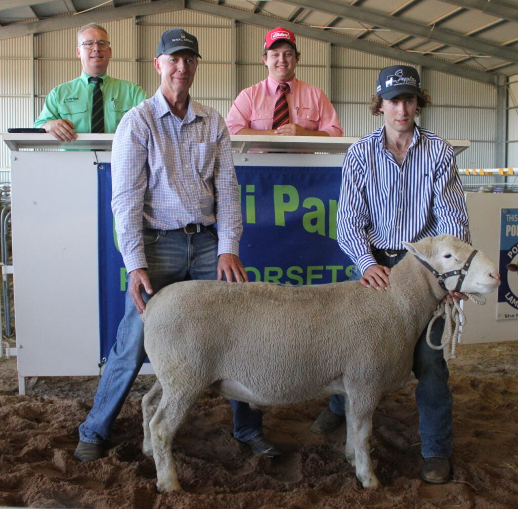 Ulandi Park 2023 Top Price Ram