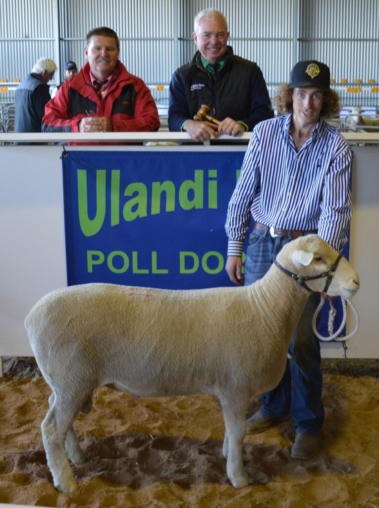 Ulandi Park 2020 Top Price Ram