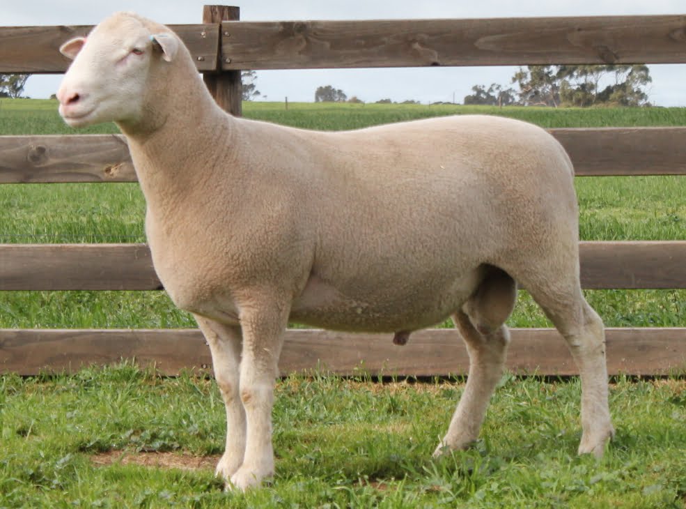 LOT 1 Ulandi Park 230103 website