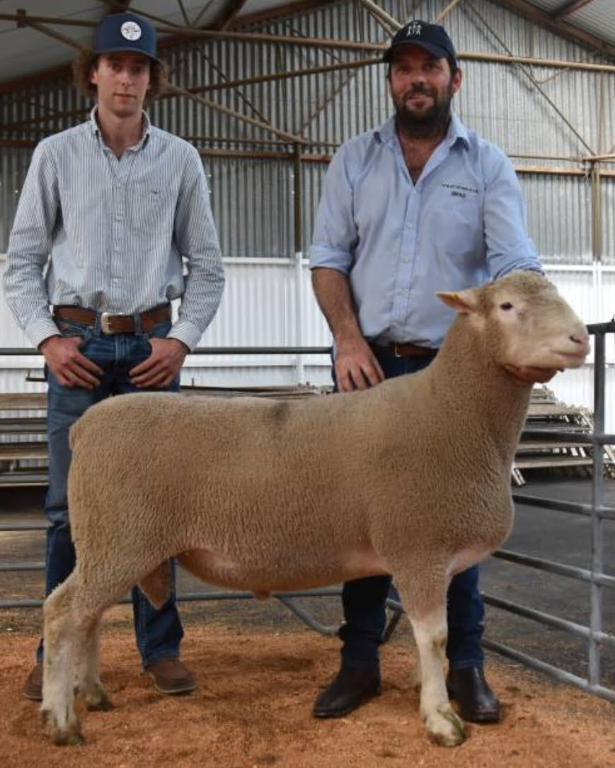 xr:d:DAF0sE-Yji0:5,j:3579645648859051545,t:23112100