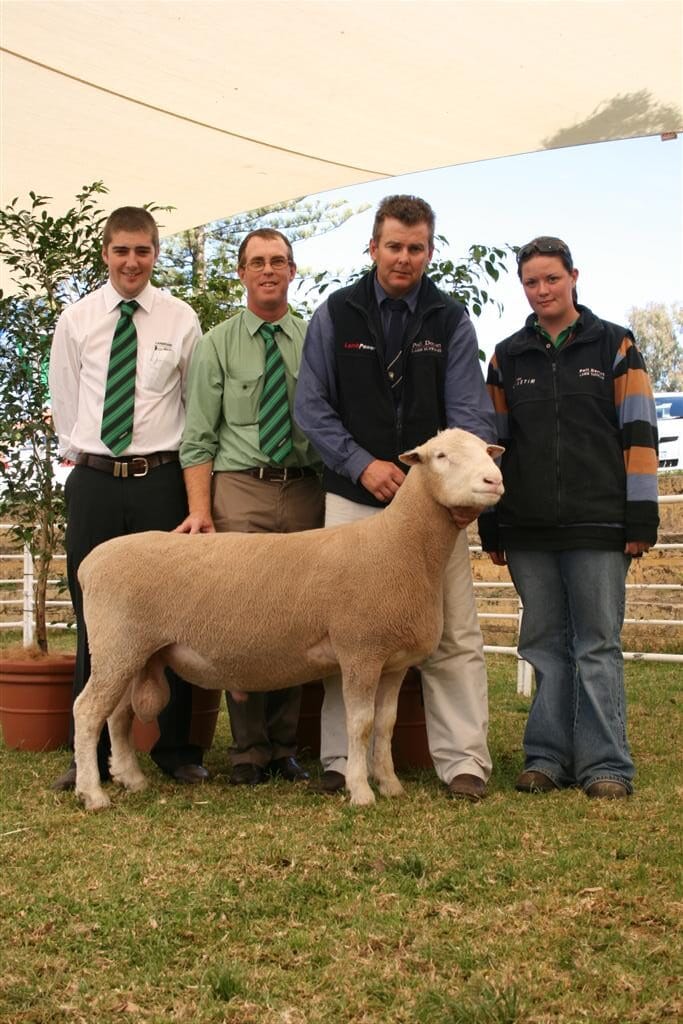 hillcroft (Large) hillcroft (Large)