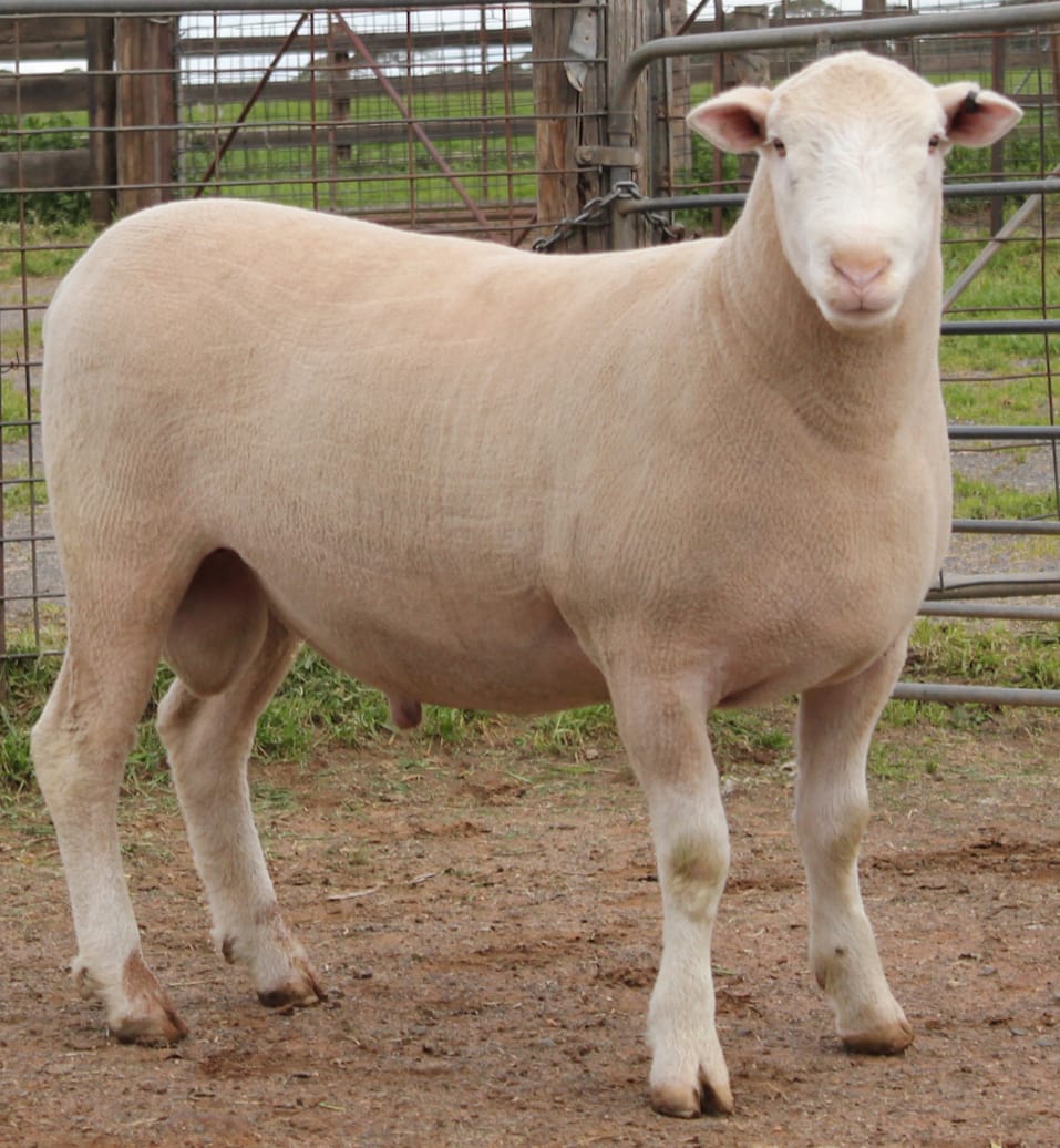 LOT 1 Ulandi Park 247 24 website