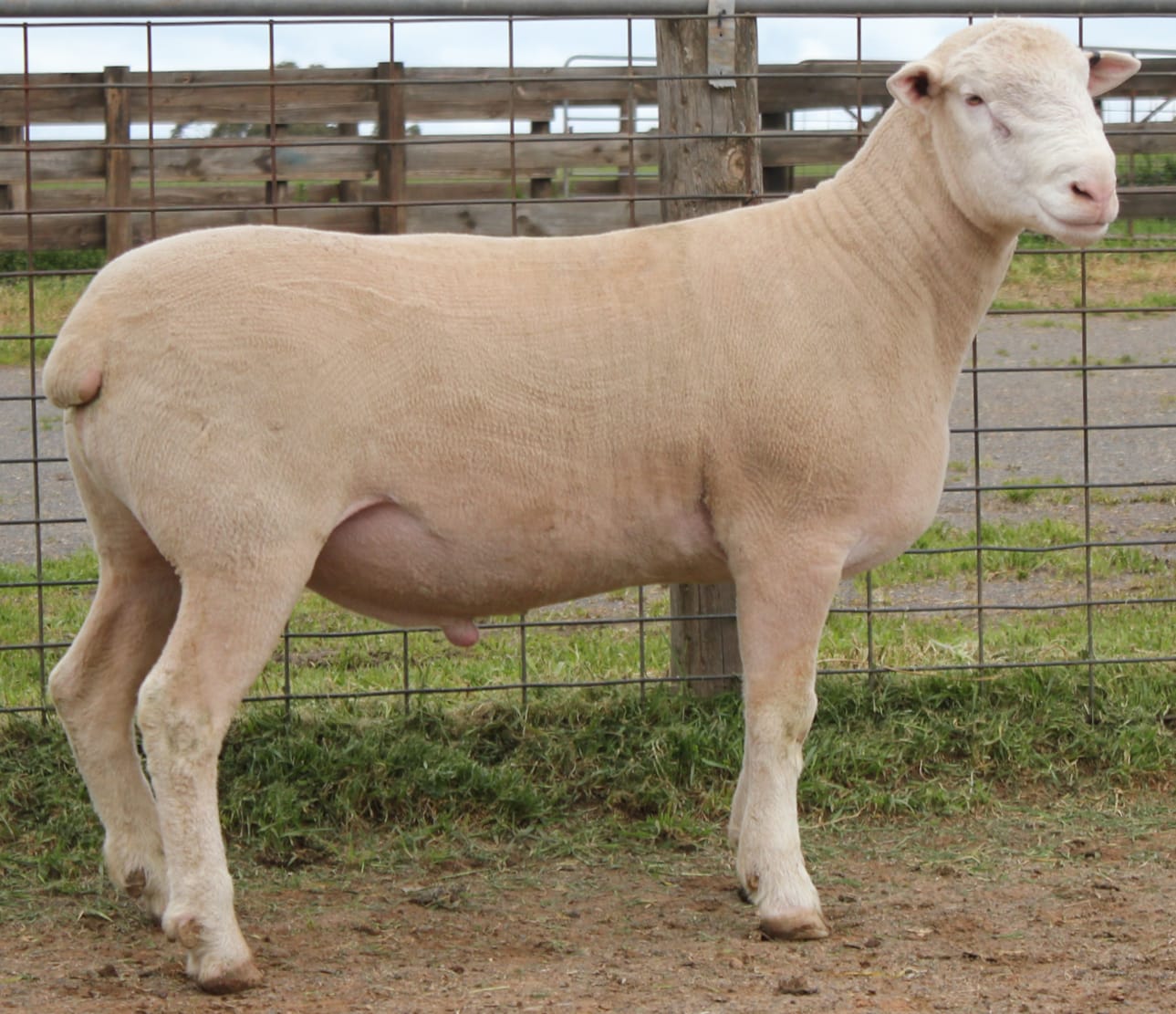 LOT 13 Ulandi Park 398 24 website