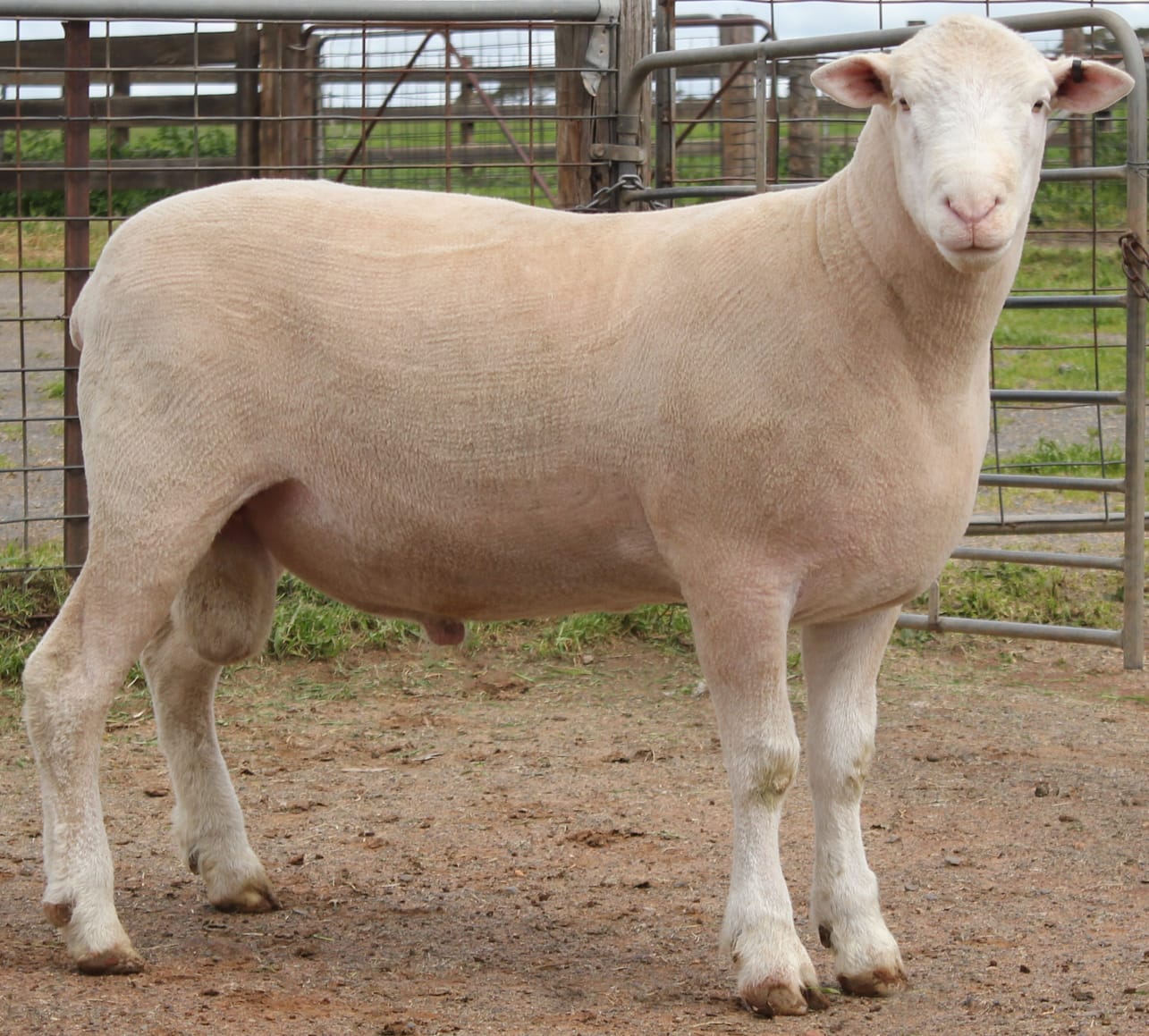 LOT 2 Ulandi Park 336 24 website