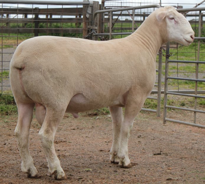 LOT 3 Ulandi Park 52 24 website