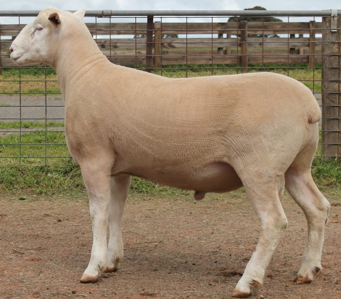 LOT 5 Ulandi Park 385 24 website