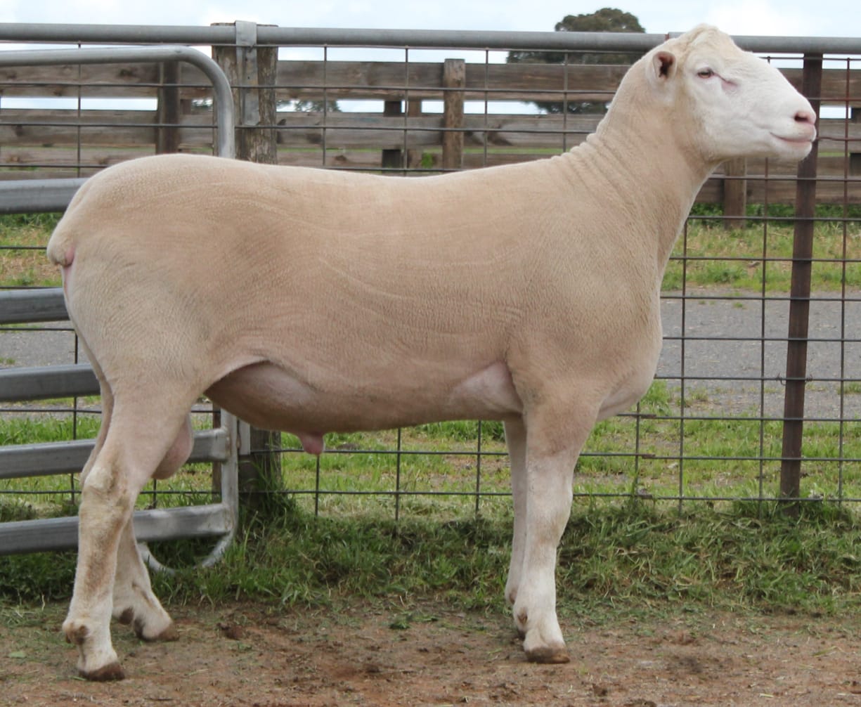 LOT 6 Ulandi Park 91 24 website