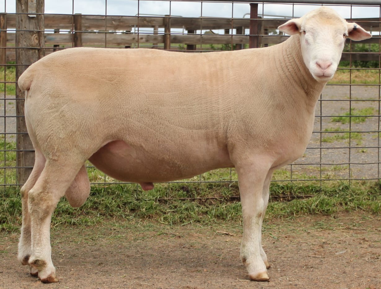 Ulandi Park 20 24 Keeper website Ulandi Park 20 24 Keeper website