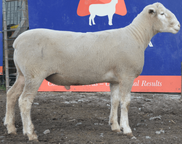 Derrynock 30-24 edit Derrynock 30-24 edit