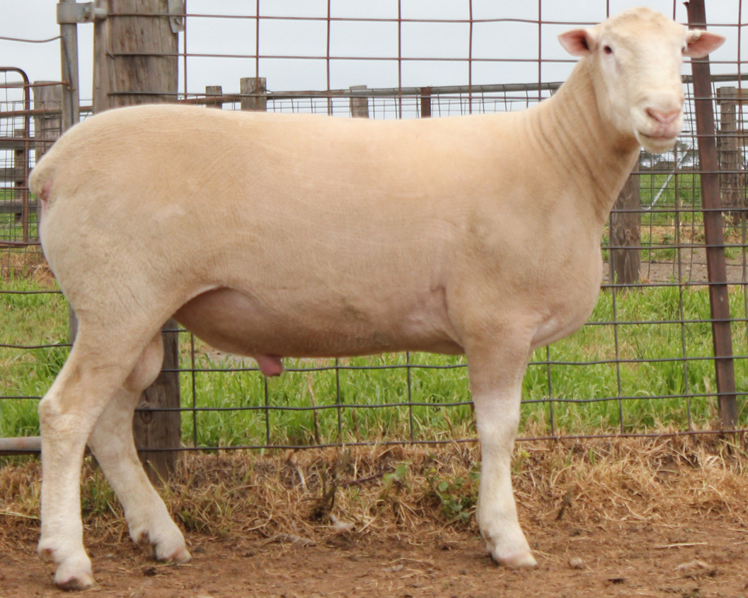 2026 LOT 10 website